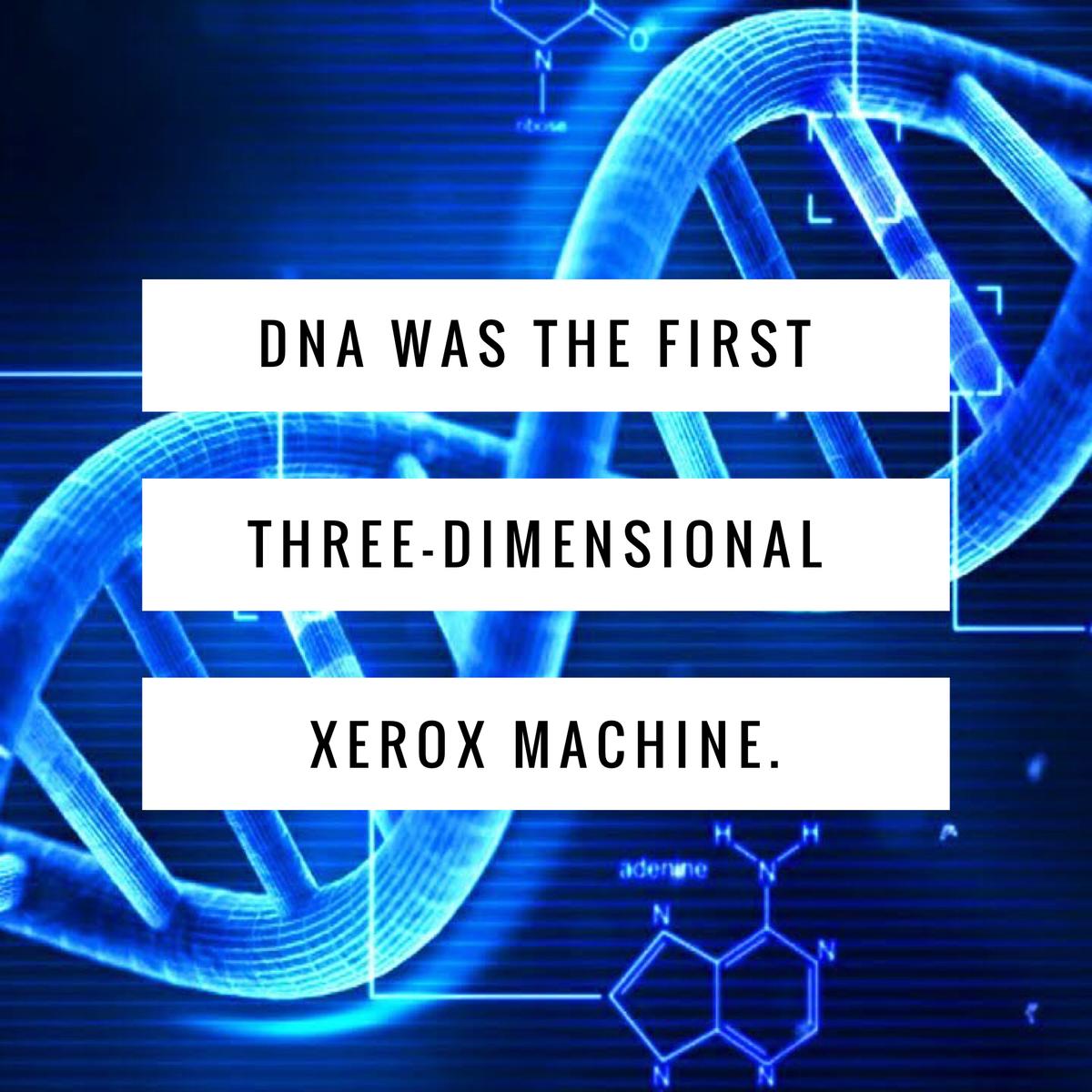 DNA – The First 3-Dimensional Xerox Machine - TN LAB Supply