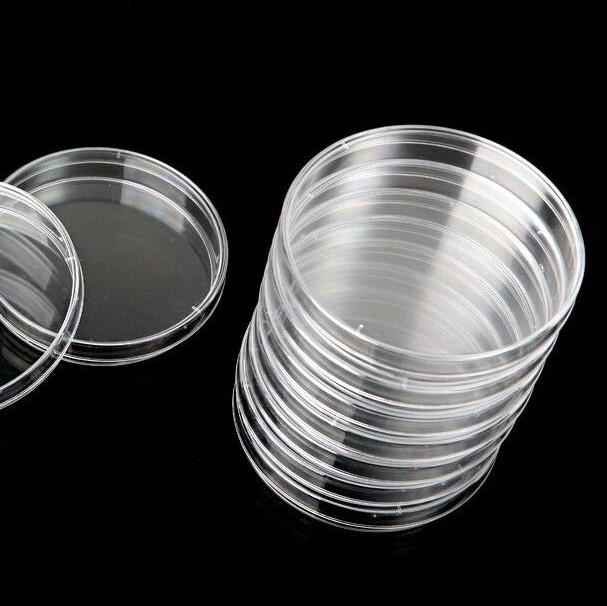 Petri Dish Sterile Plastic 60 x 15 mm