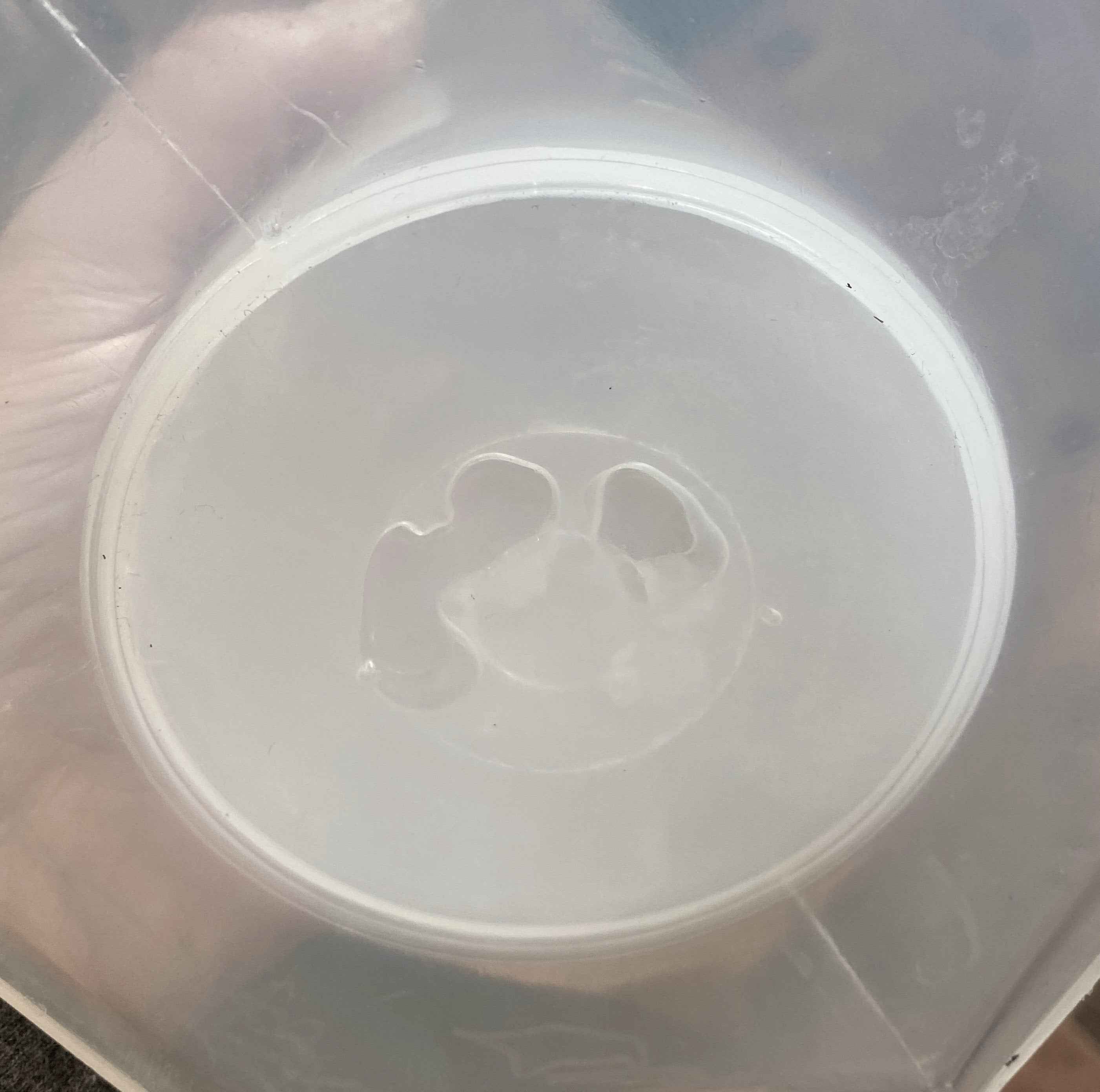 Graduated Measuring Cylinder Polypropylene 2,000ml 2L SECONDS