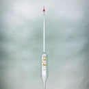 Pipette Volumetric Bulb Form 50 ml Borosilicate Glass 50ml 0.10ml Accuracy Red 10-Pack